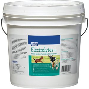 Sav-A-Caf Electrolytes Plus Multi Species Supplement, 10-lb pail
