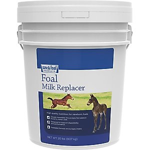 Sav-A-Caf Sav-A-Foal Foal Milk Replacer, 20-lb pail
