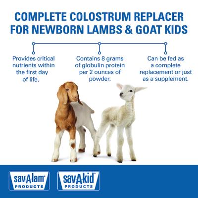 Show full view: Sav-A-Caf Sav-A-Lam Sav-A-Kid Lamb & Kid Colostrum Replacer, 10-oz pouch slide 5 of 8
