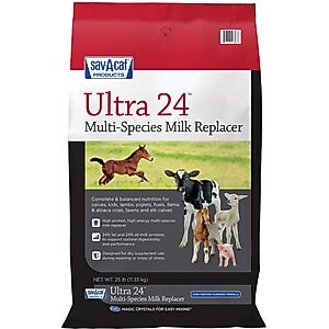 PetAg Dyne High Calorie Liquid Nutritional Supplement for Livestock