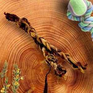 Savannah Pet Food Chewy Ostrich Tendon Twister Dog Treat, 1 count