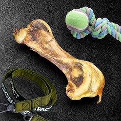 Savannah Pet Food Ostrich Hip Bone Dog Treat, 1 count