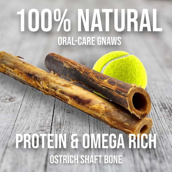 Savannah Pet Food Ostrich Shaft Bone Dog Treat, 1 count