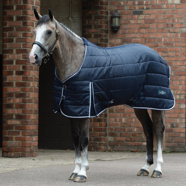 Saxon Channel Quilt Stable Standard Neck Medium Horse Blanket