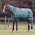 Best Turnout Blankets for Horses
