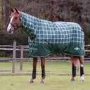 Saxon Defiant 1200D Combo Neck Heavy Horse Turnout, Hunter Green/Plaid, 78-in