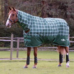 Saxon Defiant 1200D Combo Neck Heavy Horse Turnout, Hunter Green/Plaid, 81-in