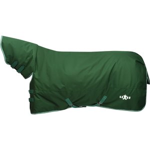 Saxon Defiant 1200D Combo Neck Heavy Horse Turnout, Hunter Green/White, 75-in