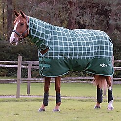 Saxon Defiant 1200D Combo Neck Medium Horse Turnout, Hunter Green/Plaid, 78-in