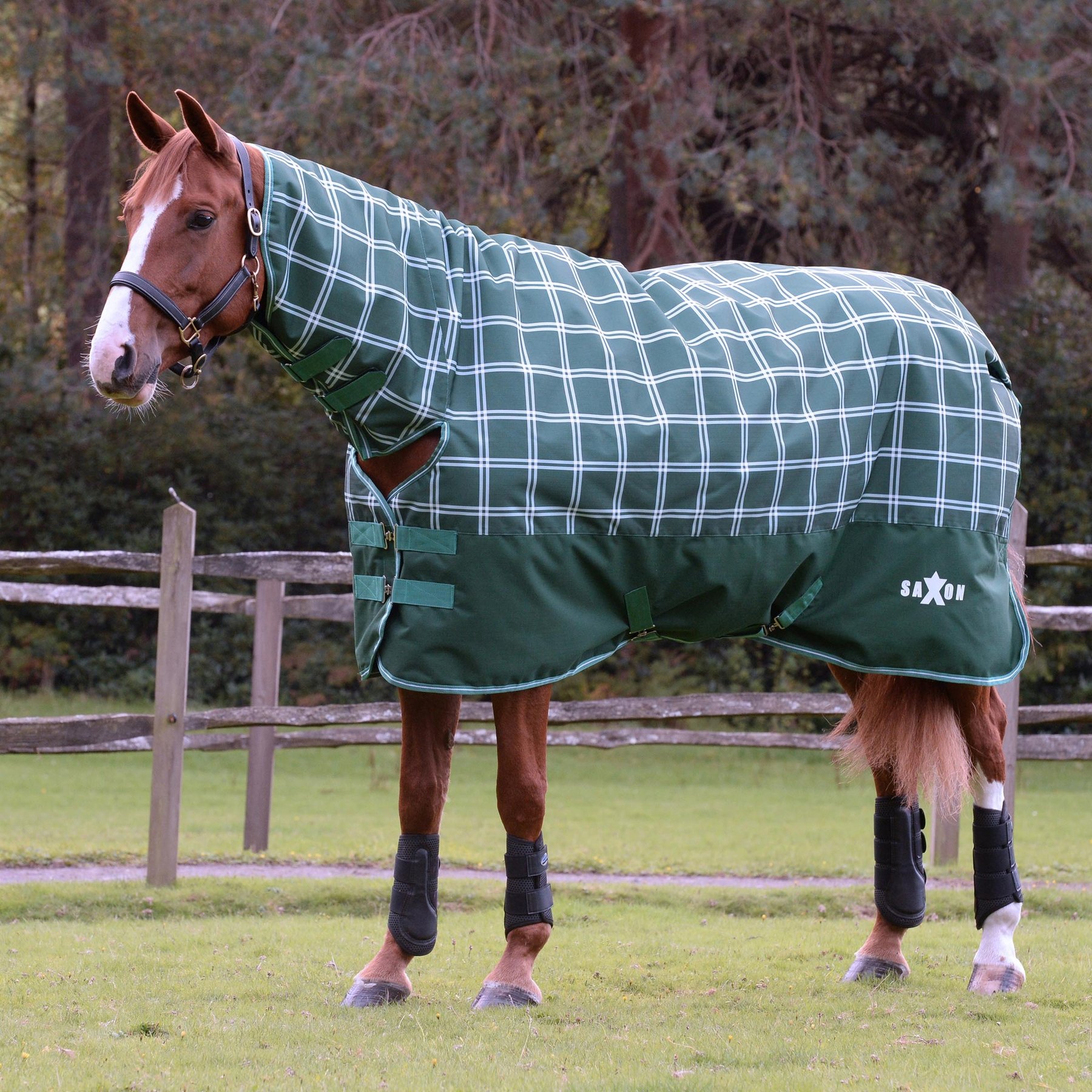 Saxon Defiant 1200D Combo Neck Medium Horse Turnout, Hunter Green/Plaid, 87-in