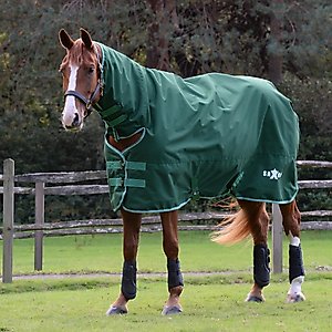 Saxon Defiant 1200D Combo Neck Medium Horse Turnout, Hunter Green/White, 81-in