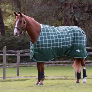 Saxon Defiant 1200D Standard Neck Lite Horse Turnout, Hunter Green/Plaid, 75-in