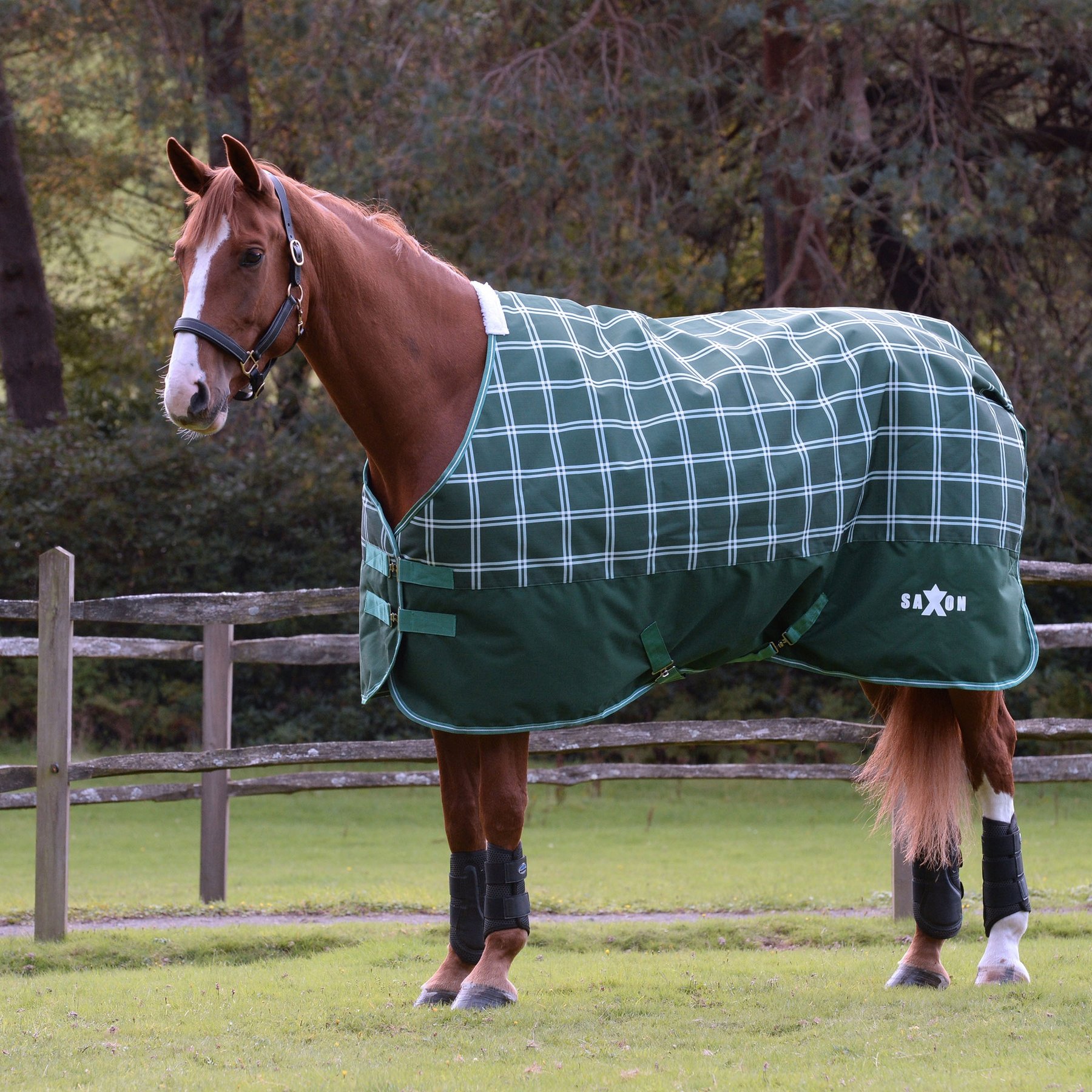 Saxon Defiant 1200D Standard Neck Medium Horse Turnout, Hunter Green/Plaid, 69-in