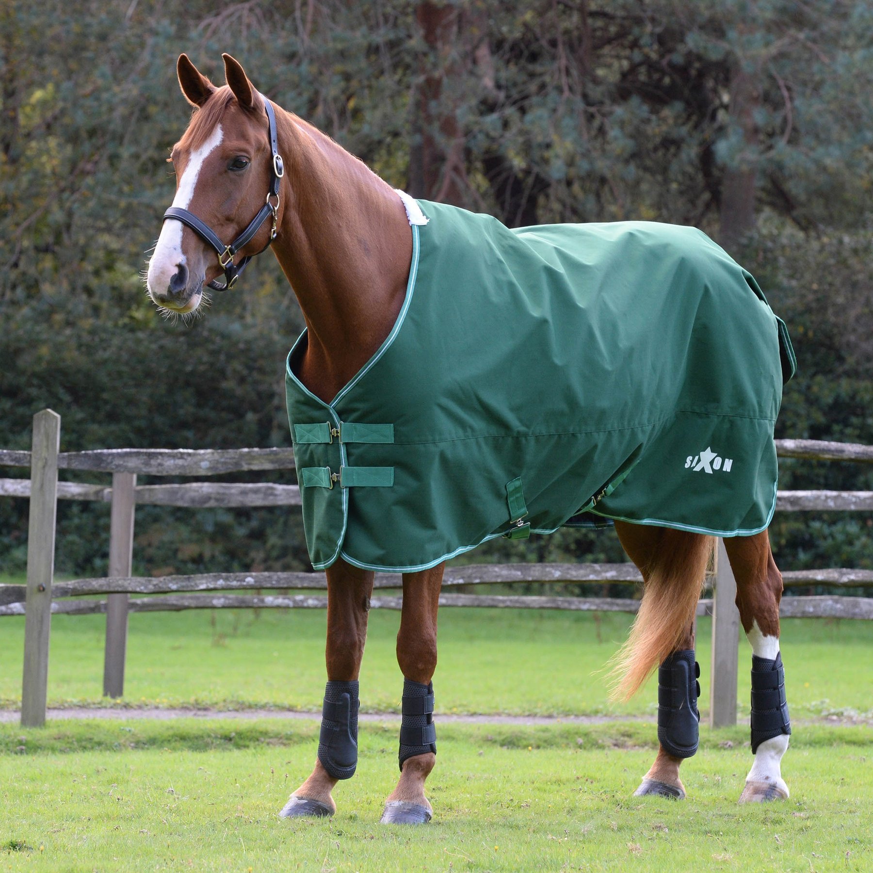 Saxon Defiant 1200D Standard Neck Medium Horse Turnout, Hunter Green/White, 69-in