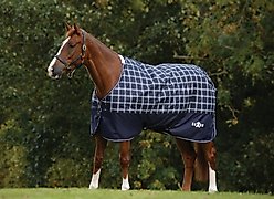 Saxon Defiant 600D Standard Neck Lite Horse Blanket, Navy Plaid, 78-in