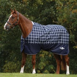 Saxon Defiant 600D Standard Neck Lite Horse Turnout, Navy Plaid, 87-in