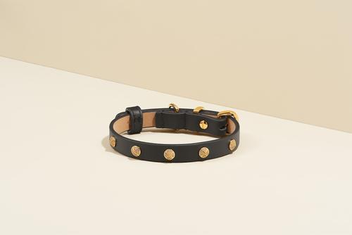 Show full view: Scamper & Co Genuine Leather & Microfiber Bejeweled Circular Stud Dog Collar, Black, X-Small: 8.5 to 11-in, 0.5-in neck slide 5 of 6