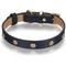 Show in main carousel: Scamper & Co Genuine Leather & Microfiber Bejeweled Circular Stud Dog Collar, Navy, Small: 10.5 to 13.4-in, 0.6-in neck slide 1 of 7