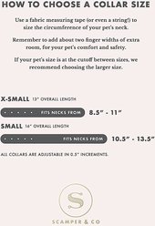 Scamper & Co Genuine Leather & Microfiber Bejeweled Circular Stud Dog Collar, White, Small: 10.5 to 13.4-in, 0.6-in neck slide 2 of 5