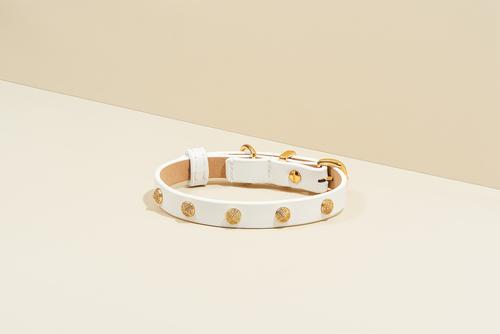 Show full view: Scamper & Co Genuine Leather & Microfiber Bejeweled Circular Stud Dog Collar, White, Small: 10.5 to 13.4-in, 0.6-in neck slide 5 of 6