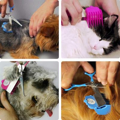 Show full view: Scaredy Cut Silent Dog, Cat & Small Pet Grooming Kit, 16 piece, Blue, Left-Handed slide 6 of 9