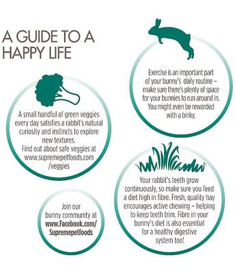 Show full view: Science Selective 4+ Senior Rabbit Food, 70-oz bag slide 4 of 9
