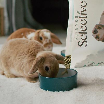 Show full view: Science Selective 4+ Senior Rabbit Food, 70-oz bag slide 6 of 9