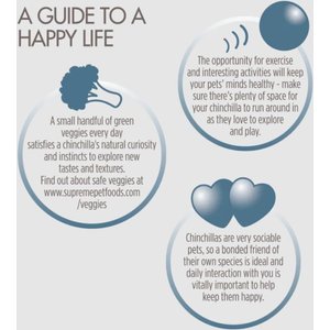 Science Selective Chinchilla Food, 4.4-lb bag