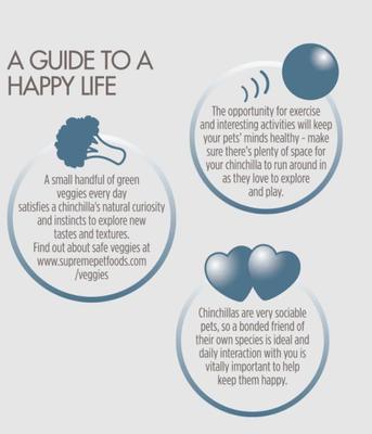 Show full view: Science Selective Chinchilla Food, 4.4-lb bag slide 4 of 8