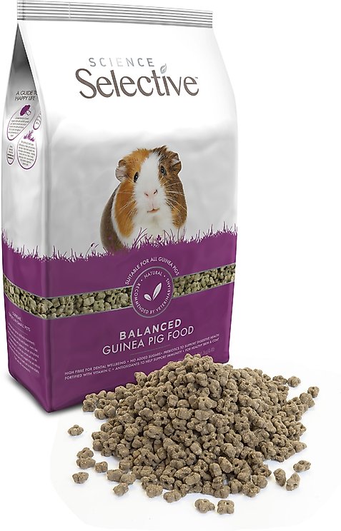 Guinea Pig Food | Chewy