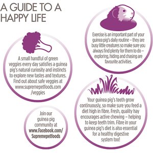 Science Selective Guinea Pig Food, 4-lb bag