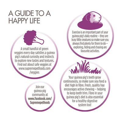 Show full view: Science Selective Guinea Pig Food, 4-lb bag slide 6 of 10