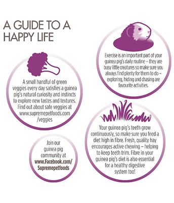 Show full view: Science Selective Guinea Pig Food, 8.8-lb bag slide 6 of 10