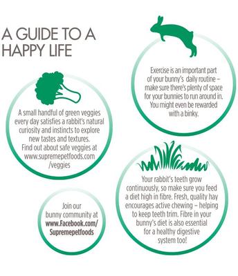 Show full view: Science Selective House Rabbit Food, 3.3-lb bag, bundle of 2 slide 5 of 9