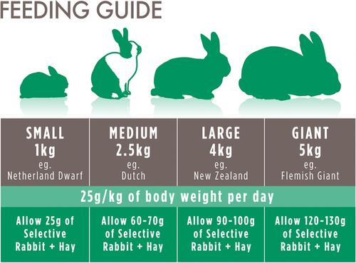 Show full view: Science Selective House Rabbit Food, 3.3-lb bag slide 6 of 9