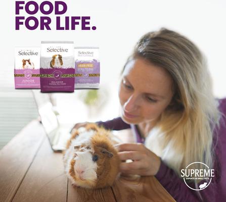 Show full view: Science Selective Junior Guinea Pig Food, 3.3-lb bag slide 2 of 3