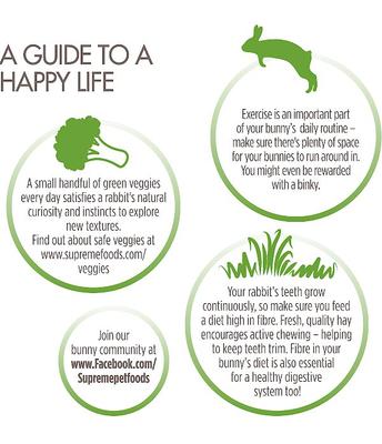 Show full view: Science Selective Junior Rabbit Food, 4.4-lb bag slide 6 of 10