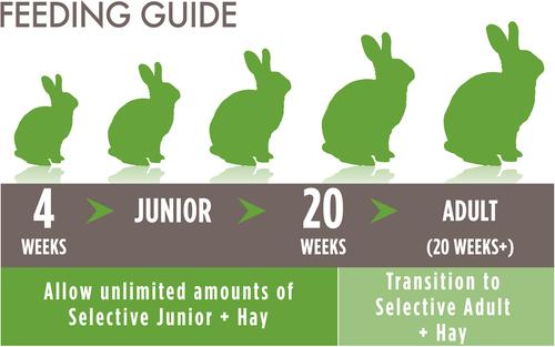 Show full view: Science Selective Junior Rabbit Food, 4.4-lb bag slide 8 of 10