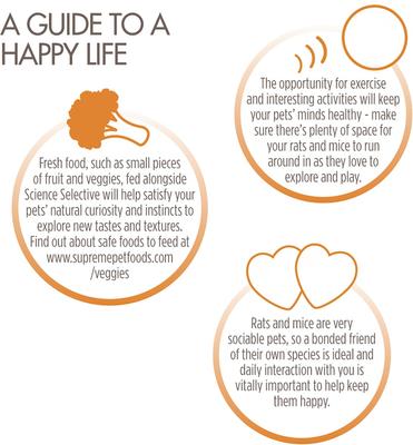 Show full view: Science Selective Mouse & Rat Food, 4.4-lb bag slide 4 of 6