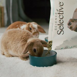 Science Selective Rabbit Food, 4-lb bag