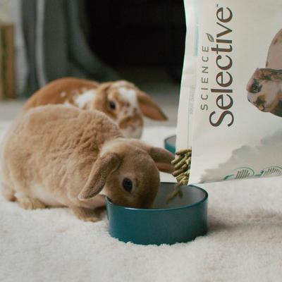 Show full view: Science Selective Rabbit Food, 4-lb bag slide 4 of 11