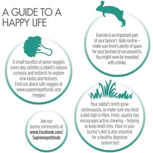 Science Selective Rabbit Food, 4-lb bag