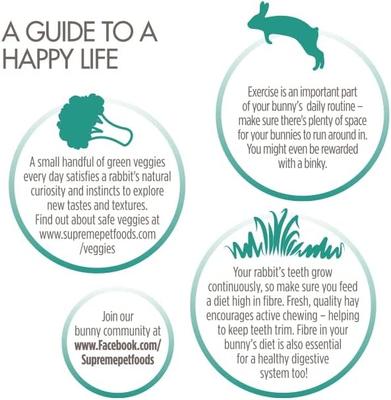 Show full view: Science Selective Rabbit Food, 4-lb bag slide 7 of 11