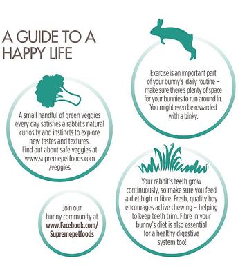 Show full view: Science Selective Rabbit Food, 8.8-lb bag slide 6 of 11