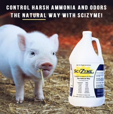 Show full view: SciZyme Fresh 500 Odor Eliminator Concentrate, 128-oz bottle slide 5 of 9