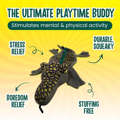 Show full view: Scoochie Pet Gary Gator Squeaky Plush Dog Chew Toy, 16-in slide 3 of 5