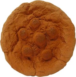 Scoochie Pet Premium Stuffed Latex Totally Soft Cookie Dog Chew Toy, 7-in