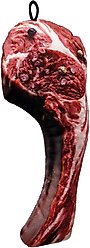 Scoochie Pet Scoochzilla T Bone Steak Squeaky Dog Chew Toy, 11-in