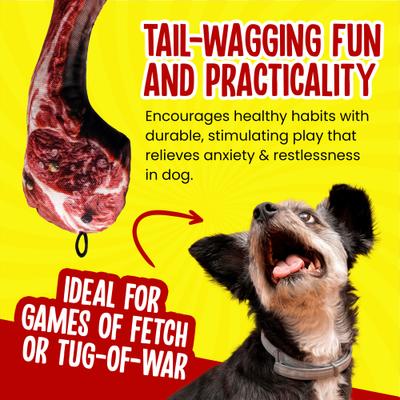 Show full view: Scoochie Pet Scoochzilla T Bone Steak Squeaky Dog Chew Toy, 11-in slide 3 of 5