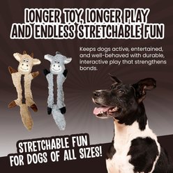 Scoochie Pet Stretchables Squeaky Dog Chew Toy, 20-in slide 2 of 5